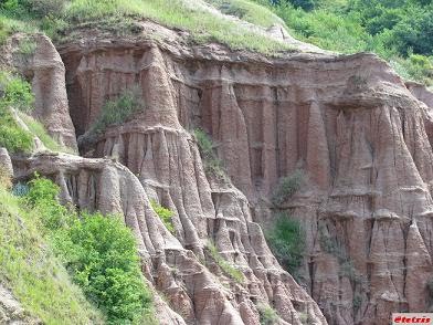 Arhitectură naturală