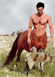 centaur-179x250