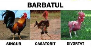 barbatul-singur-casatorit-divortat1