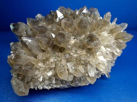 Imagini pentru flori de mină