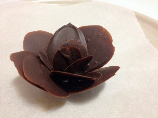 Imagini pentru poze cu ciocolata